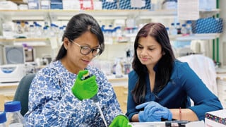 Sandhya Malla och Kanchan Kumari i Aguilo labb på Institutionen för molekylärbiologi.