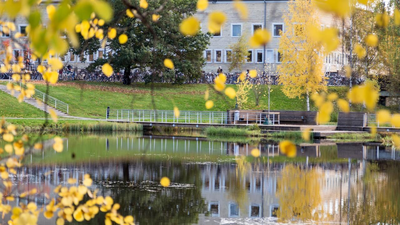 Umeå campus 6 oktober 2017.