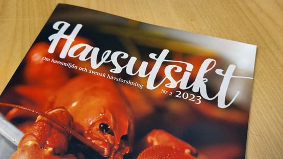Tidskriften Havsutsikt kommer ut två gånger per år. Den beskriver marin forskning vid de svenska lärosätena.