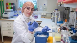 Big ideas welcome: postdoc call in Sweden seeks original thinkers