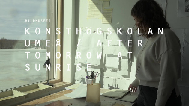 Video: Intervju med Beatriz Martins