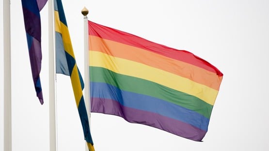 Prideflagga på campus i samband med Pridefestivalen 2015-09-18.