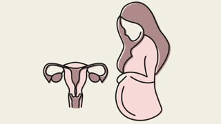 En gravid kvinna bredvid en livmoder med äggstockar och äggledare.