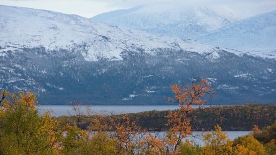 A view of the lake Torneträsk and surroundings.
