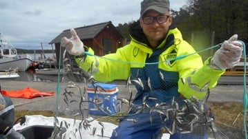 Johan Eklöf håller i ett fisknät med många små fiskar.