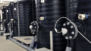 mesocosm at UMSC