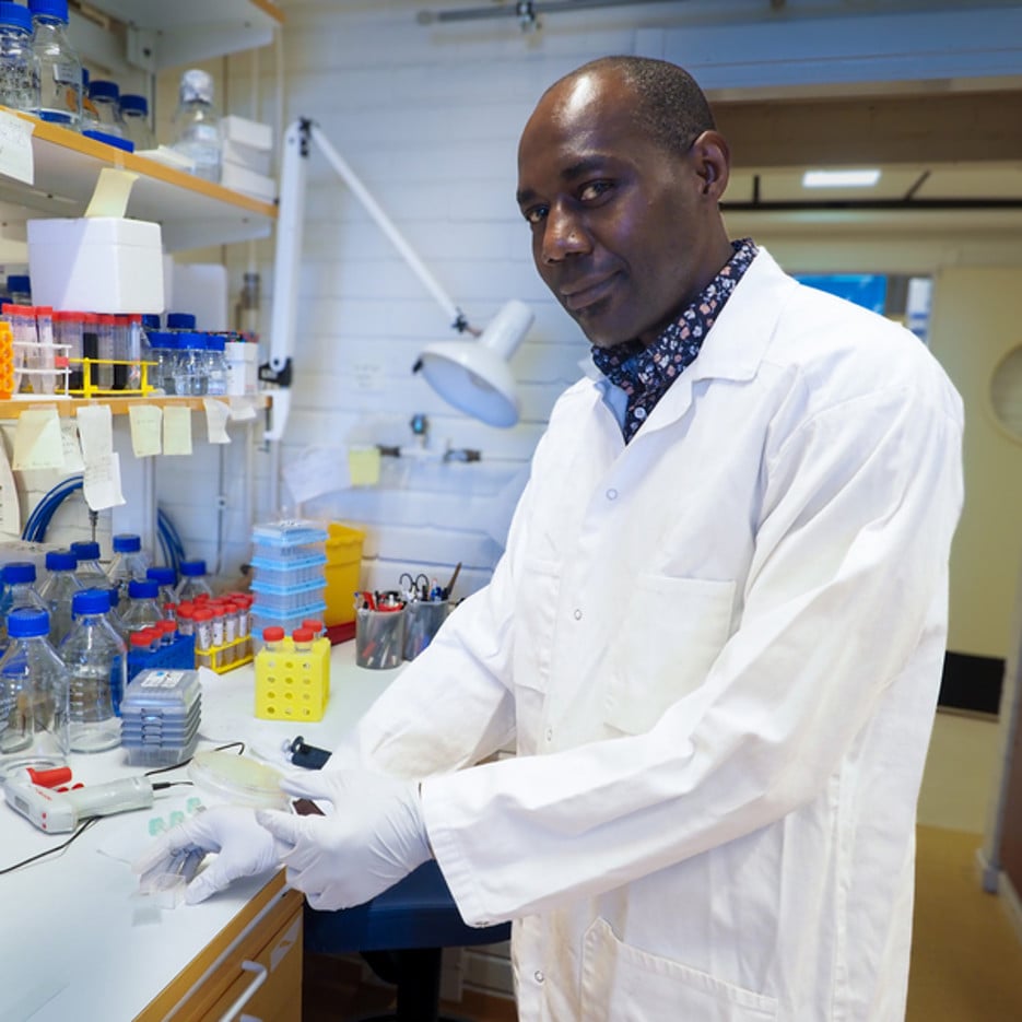 Nasim Sabouri lab