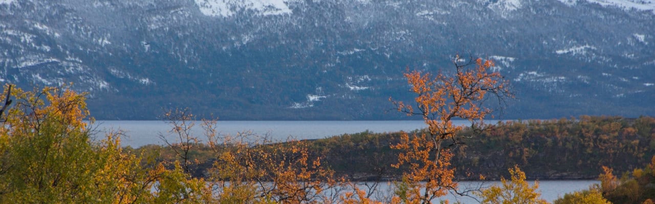 A view of the lake Torneträsk and surroundings.