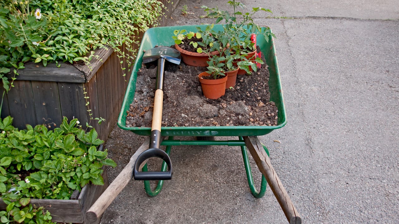 Odling, trädgårdarbete, plantering etcetera.