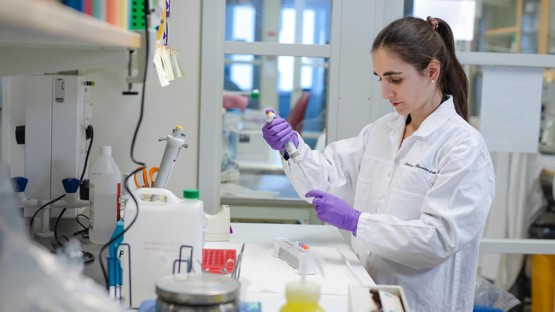 Laura Leykam, doktorand, isolerar felveckat och aggregerat SOD1-protein med hjälp av magnetiska ”pärlor”, eller microbeads, kopplade till antikroppar.