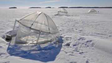 Friflytande mesokosmer  används för experiment i marin och limnisk miljö.
