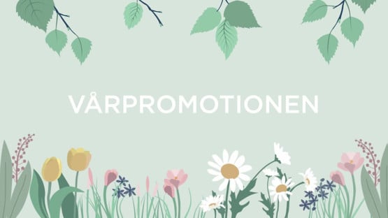 Film: En kort film om Vårpromotionen