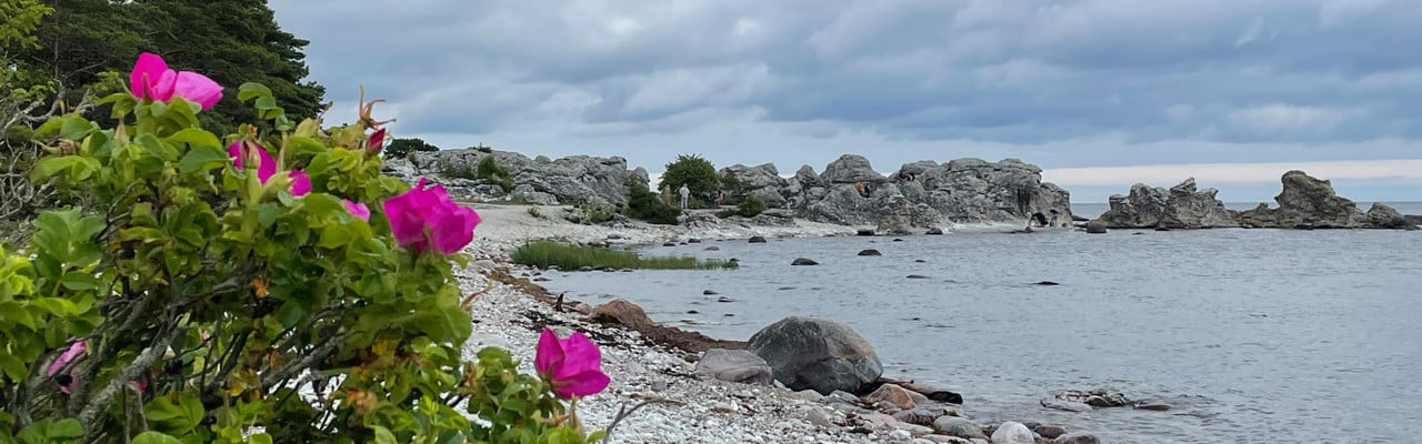Stenstrand på Gotland