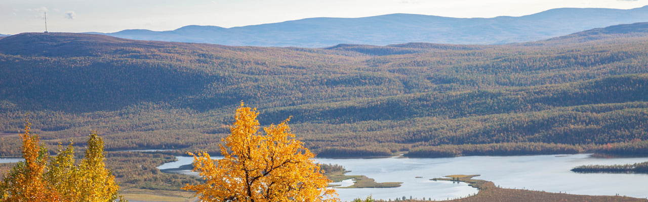 Hemavan, Lappland