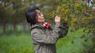 Xiao-Ru Wang, professor vid Institutionen för ekologi, miljö och geovetenskap.