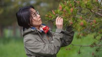 Xiao-Ru Wang, professor vid Institutionen för ekologi, miljö och geovetenskap.