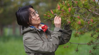 Xiao-Ru Wang, professor vid Institutionen för ekologi, miljö och geovetenskap.