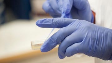 Renstrykning av bakteriekultur på agarplatta. Mikrobiologiskt laboratorium; MIMS, molekylärbiologi, UCMR