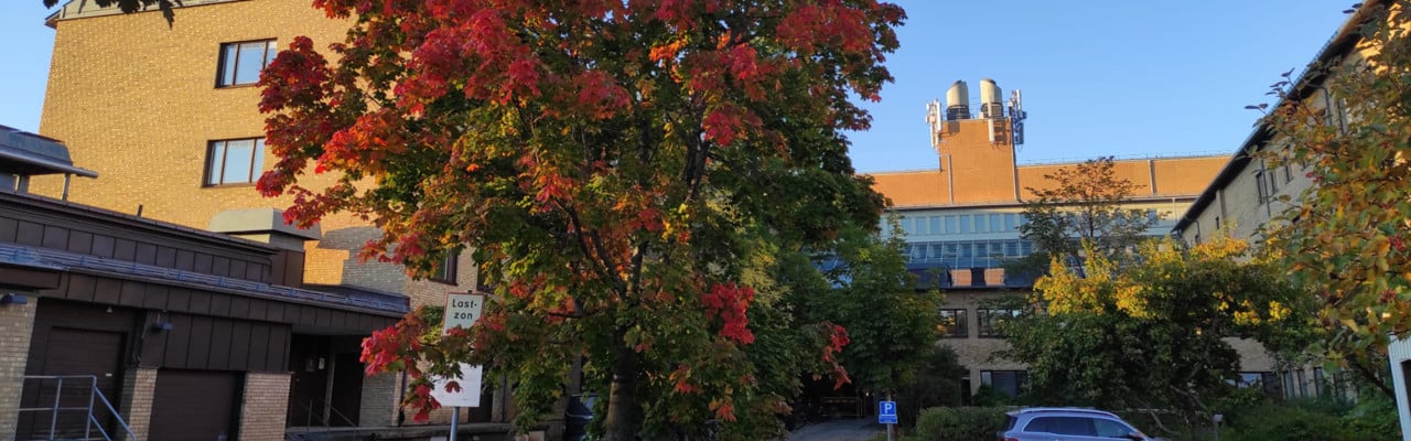 KBC bulding, Umeå University, autumn 2025
