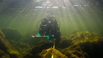 Diver in the Baltic Sea.