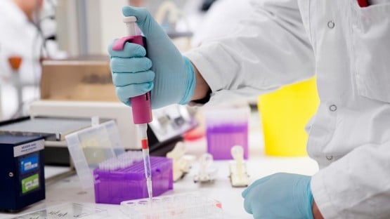 Studenter som läser civilingenjörsprogrammet i bioteknik labbar.