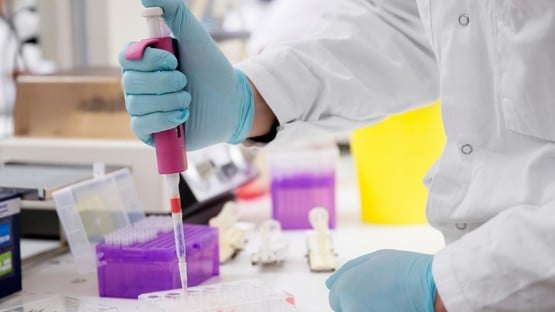 Studenter som läser civilingenjörsprogrammet i bioteknik labbar.