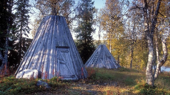 Kåtor i skog