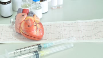heart model and electrocardiograph