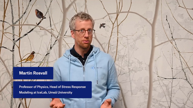 Video: Stress Response Modeling vid IceLab på 1 minut