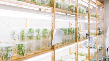 Umeå Plant Science Centre, UPSC:s transitionslabb, forskningsingenjörerna. Fotad för Aktum nr 3, 2016.