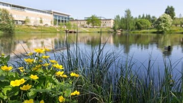 Campusdammen