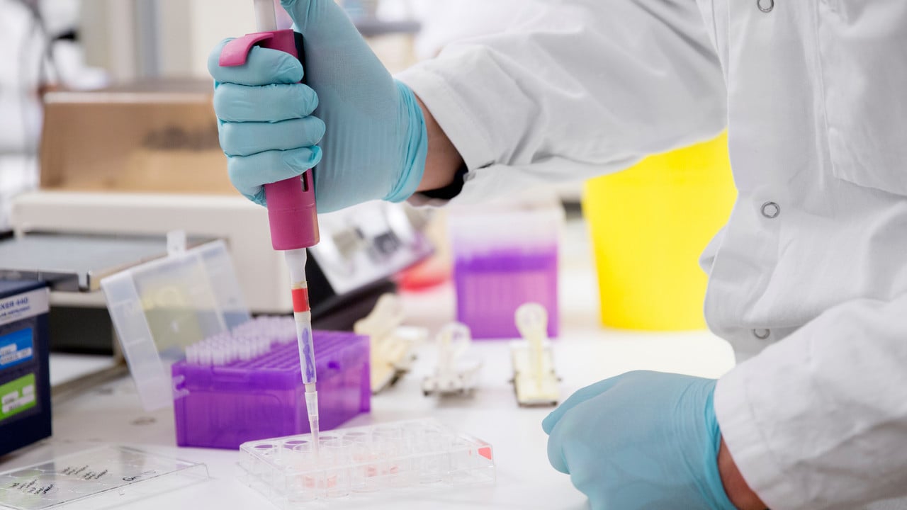 Studenter som läser civilingenjörsprogrammet i bioteknik labbar.