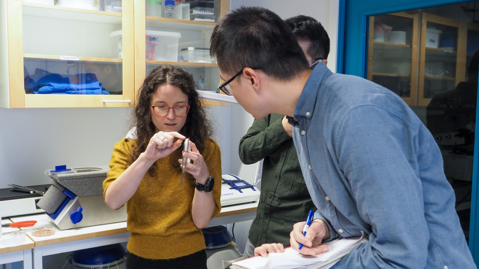 Students participating in demonstration of sample preparation during the CryoEM sample preparation and data collection course in December 2024.