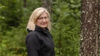 Professor vid Statsvetenskapliga institutionen