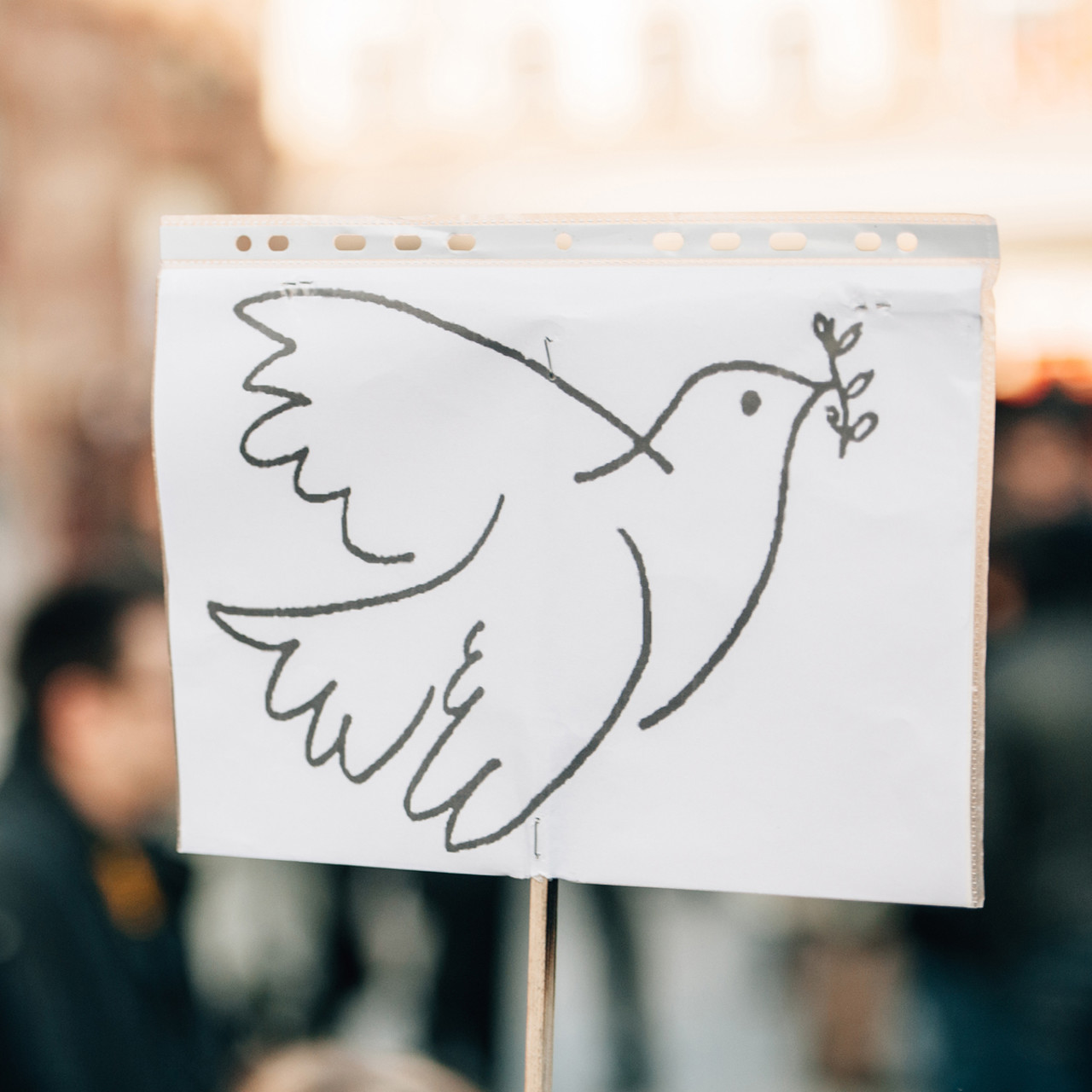 Fredsduva på skylt vid manifestation i Strasbourg, Frankrike 11 januari 2015.