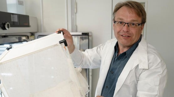 Oliver Billker
Professor vid Institutionen för molekylärbiologi
Enhet: Grupp Oliver Billker
Anknuten som forskare till Molekylär Infektionsmedicin, Sverige (MIMS)
Roll: Föreståndare