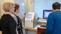 Anna Arnqvist lab