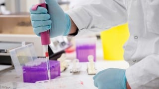 Studenter som läser civilingenjörsprogrammet i bioteknik labbar.