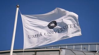 universitets logotyp på flaggor