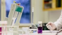 Studenter på Biomedicinsk Analytiker-programmet labbar.