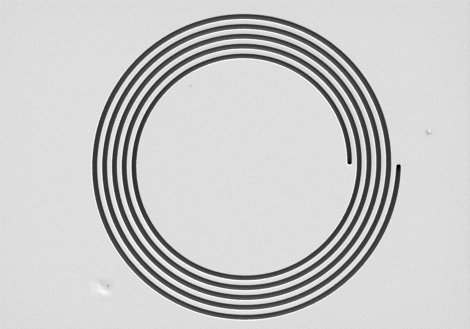 A black and white spiral