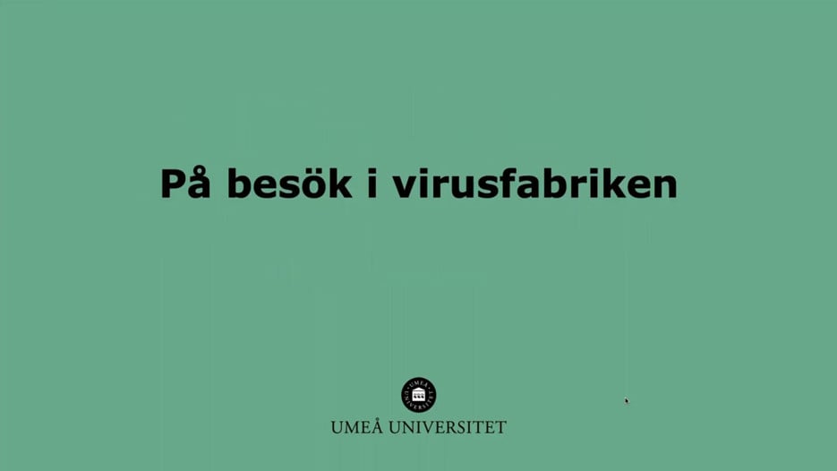 Film: På besök i virusfabriken