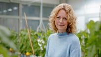 Åsa Strand