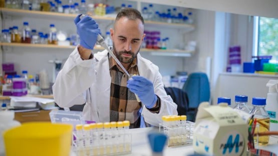 Anknuten som postdoktor till Institutionen för molekylärbiologi Enhet: Grupp Felipe Cava Anknuten som postdoktor till Institutionen för molekylärbiologi Enhet: Grupp Felipe Cava Anknuten som postdoktor till Institutionen för molekylärbiologi Enhet: Grupp Felipe Cava
