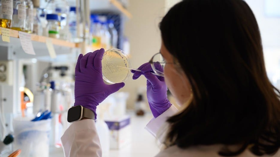 A woman in a lab coat and purple gloves holding a petri dish.