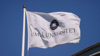 universitets logotyp på flaggor