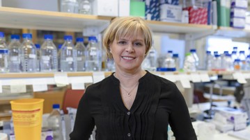 Anna Arnqvist lab