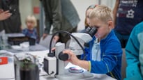 Forskarfredag 2018. Mikroskoptitt. En helkväll med spännande experiment och prova-på-aktiviteter. Det blev resultatet av vetenskapsfestivalen Forskarfredag som arrangerades vid Umeå universitet i fredags, den 28 september. En helkväll med spännande experiment och prova-på-aktiviteter. Det blev resultatet av vetenskapsfestivalen Forskarfredag som arrangerades vid Umeå universitet i fredags, den 28 september. En helkväll med spännande experiment och prova-på-aktiviteter. Det blev resultatet av vetenskapsfestivalen Forskarfredag som arrangerades vid Umeå universitet i fredags, den 28 september.