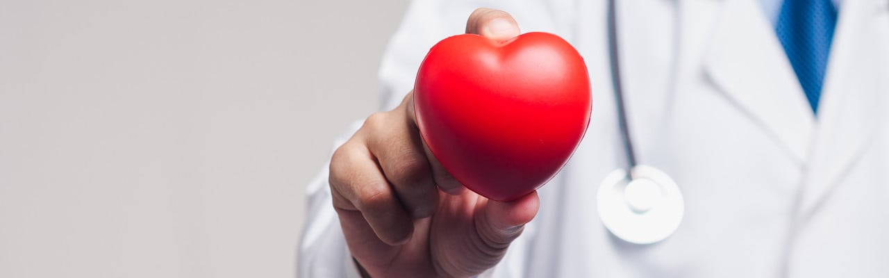 Close-up of a doctor holding a red heart model, symbolizing heart care, cardiology, and medical support for cardiovascular health and disease prevention.