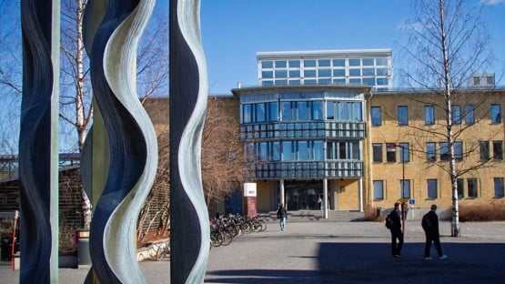 MIT-huset på våren